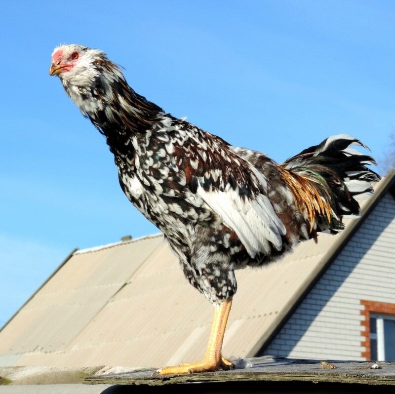 19 октября 2013