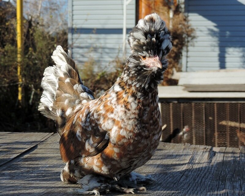 19 октября 2013