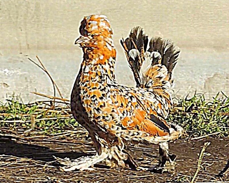 20 октября 2013