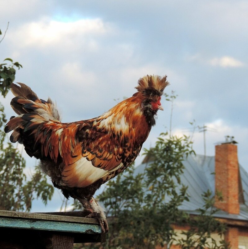 Сентябрь 2013