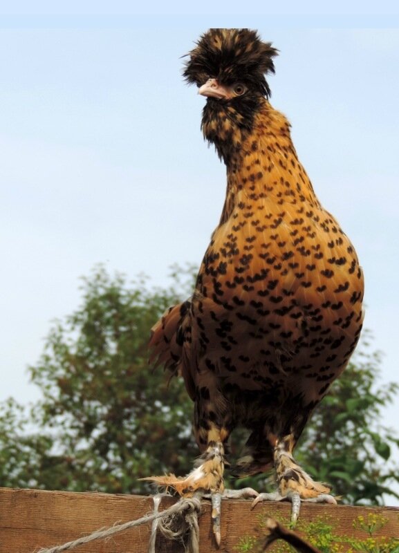 Сентябрь 2013