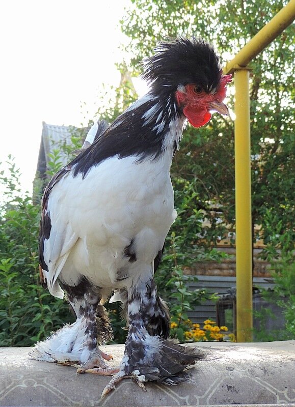 26 августа 2013