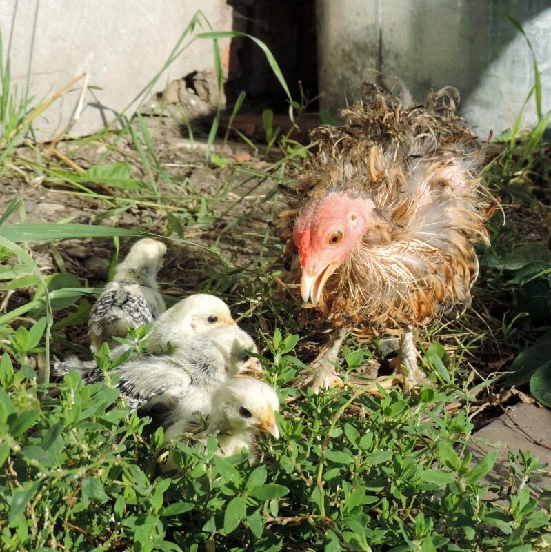 22 АВГУСТА 2013