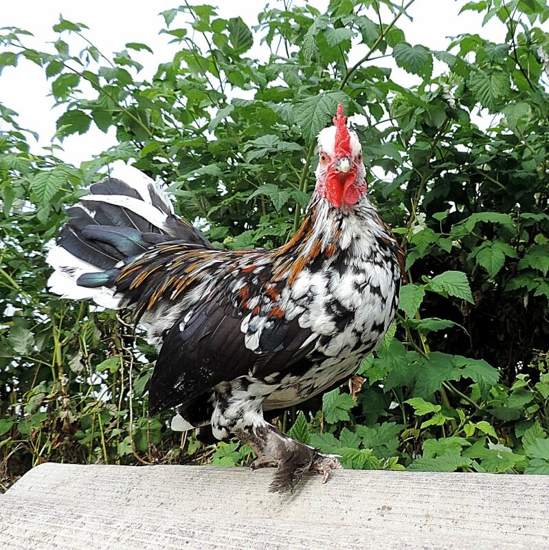 Сентябрь 2013