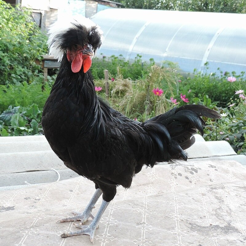 26 августа 2013