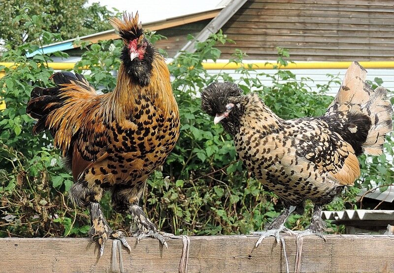 Сентябрь 2013