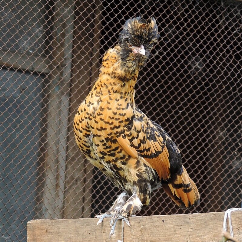 Сентябрь 2013