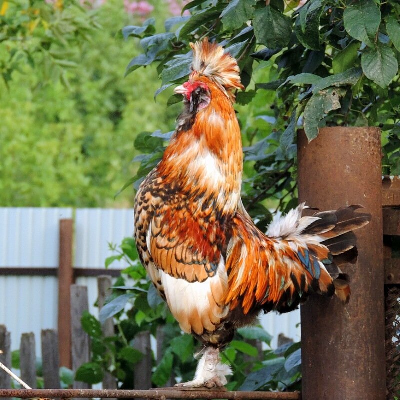 Сентябрь 2013