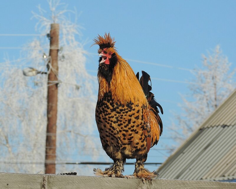 10 ноября 2013