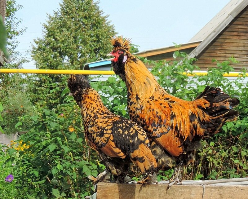 Сентябрь 2013