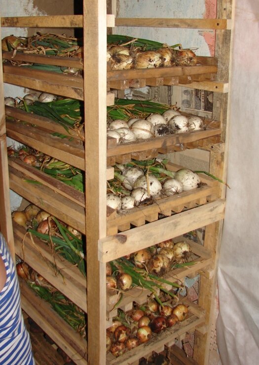 репка хранение02