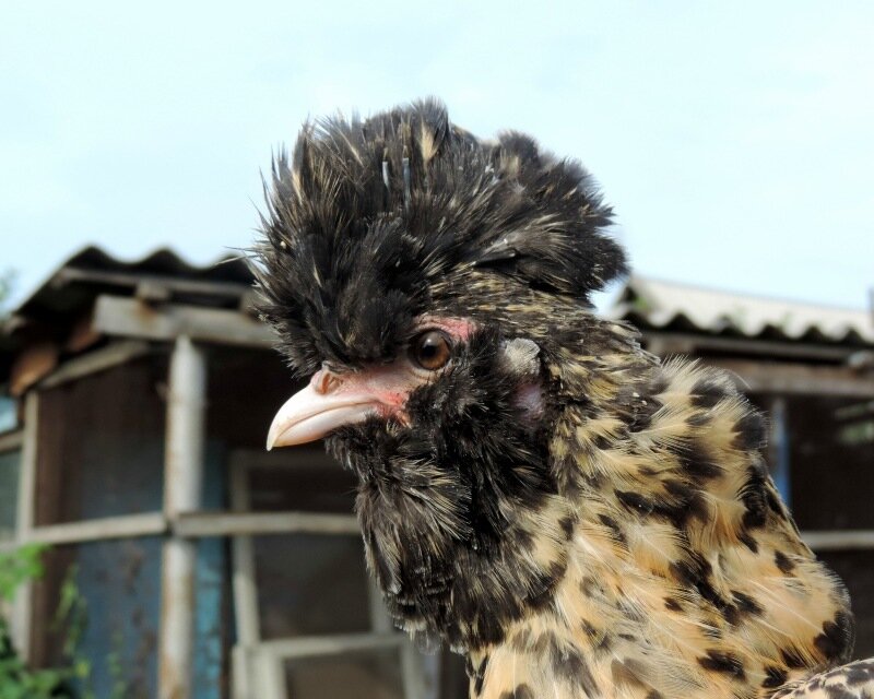 Сентябрь 2013