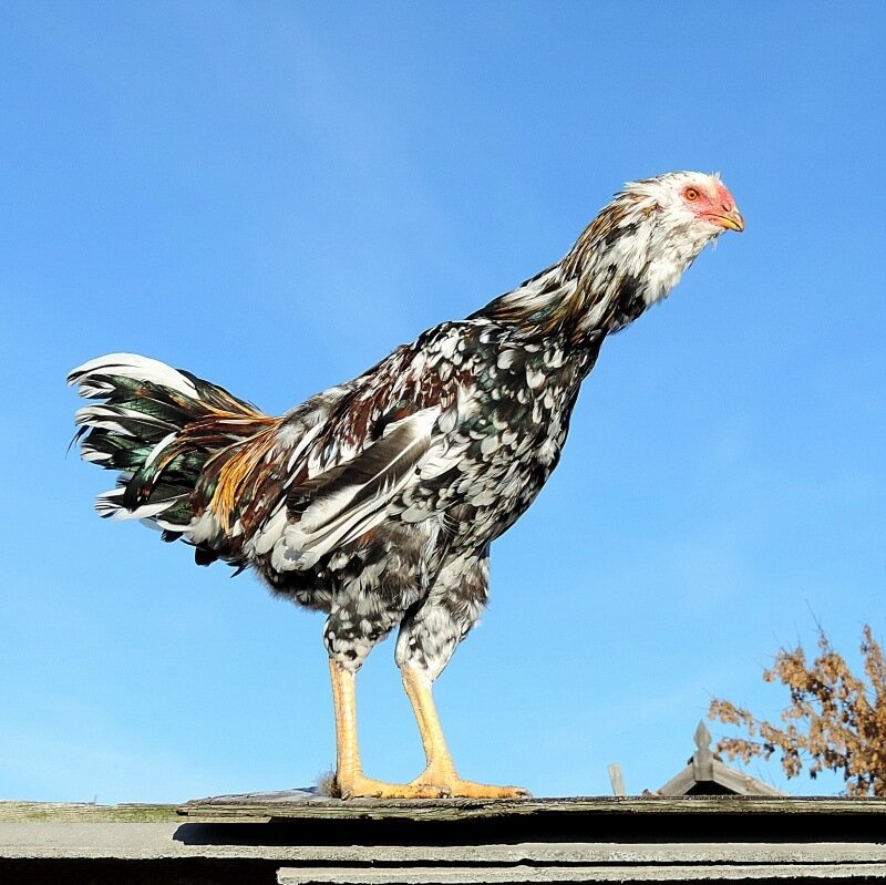 19 октября 2013