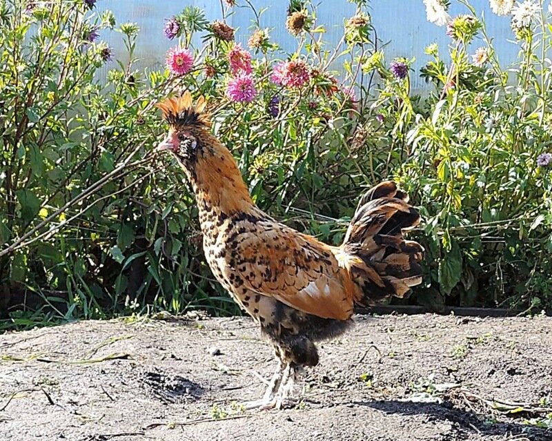 7 октября 2013