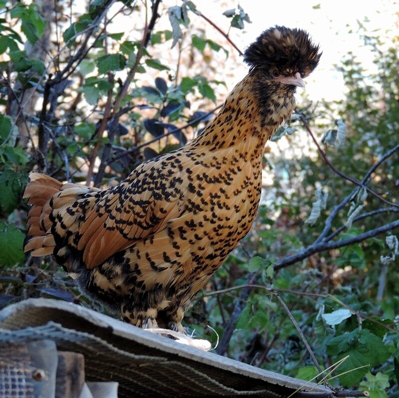 19 октября 2013