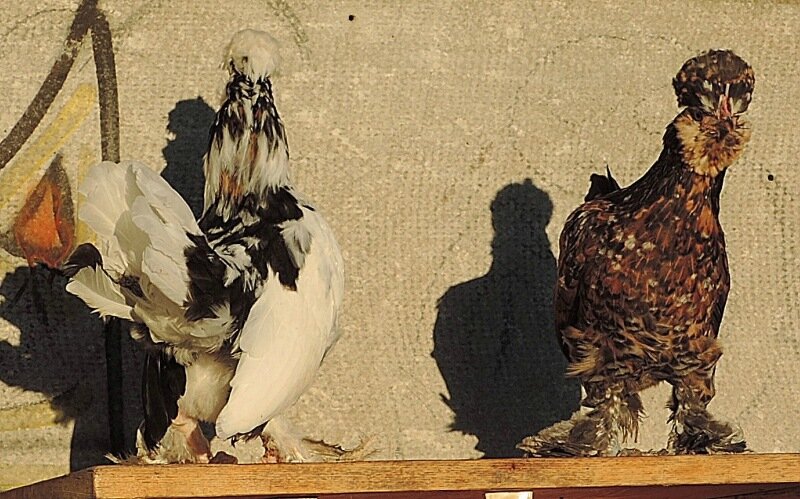 20 октября 2013