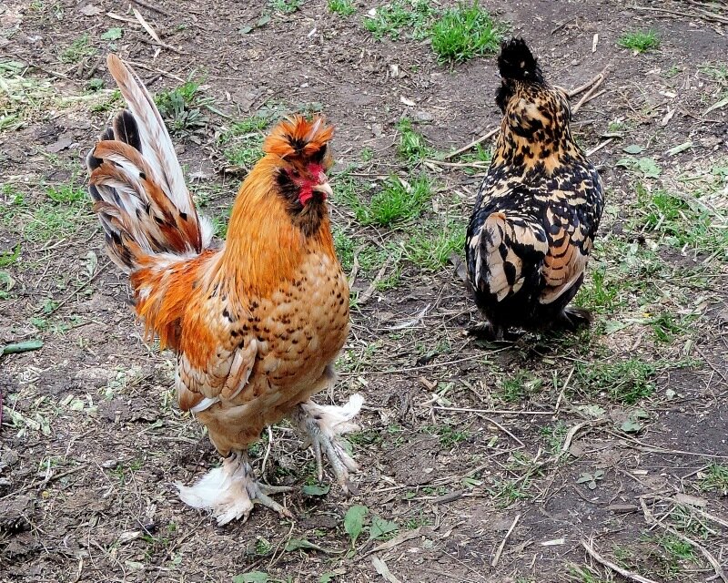 4 октября 2013