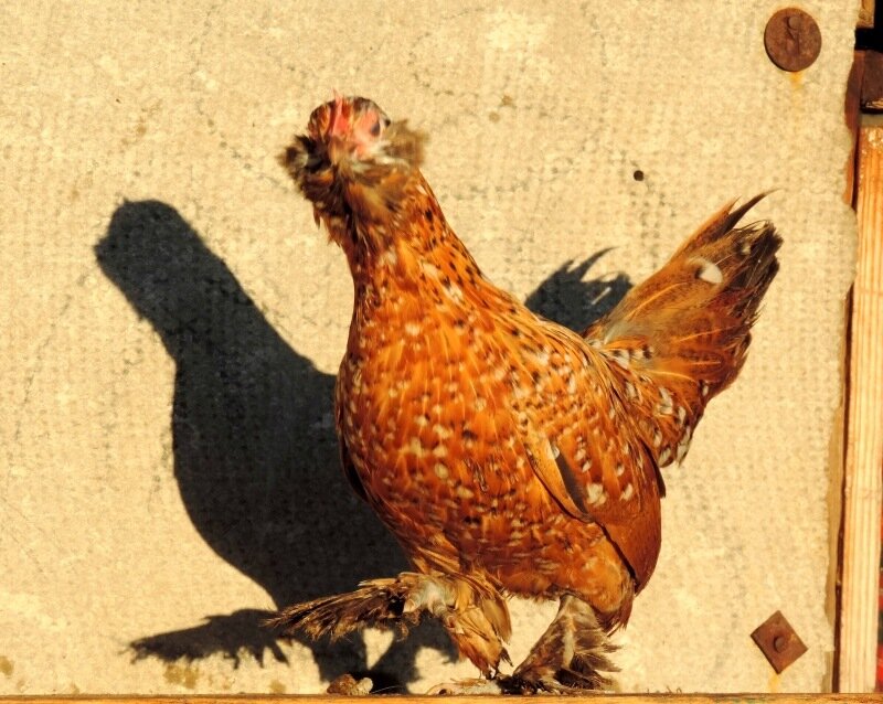 20 октября 2013