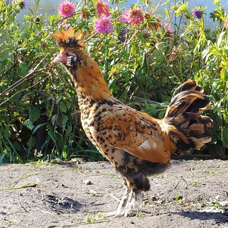 7 октября 2013