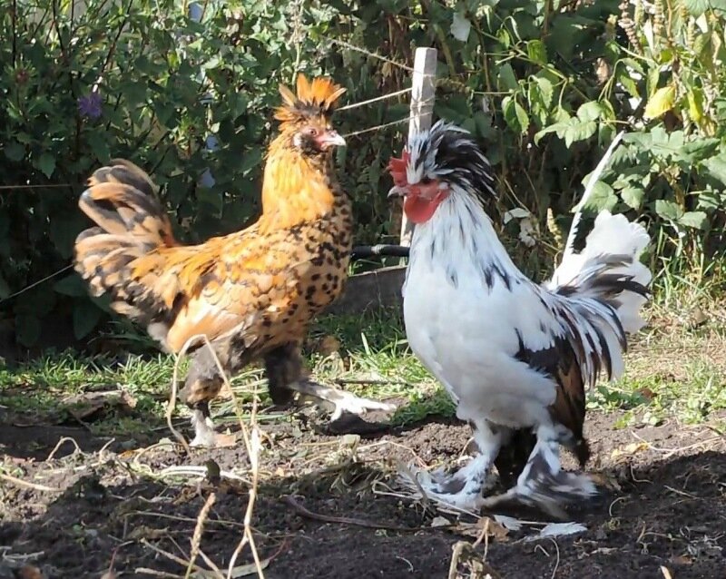 7 октября 2013