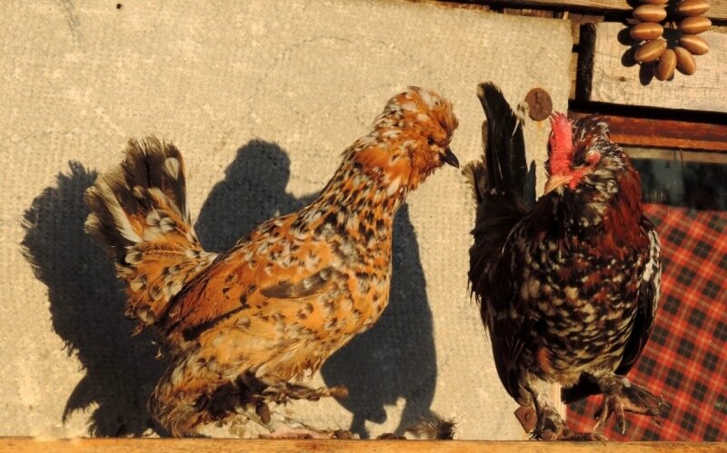 20 октября 2013