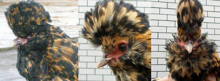 К стандарту 2014