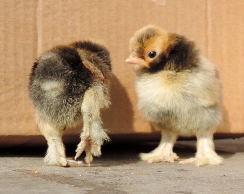 20 апреля 2014