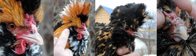 К стандарту 2014