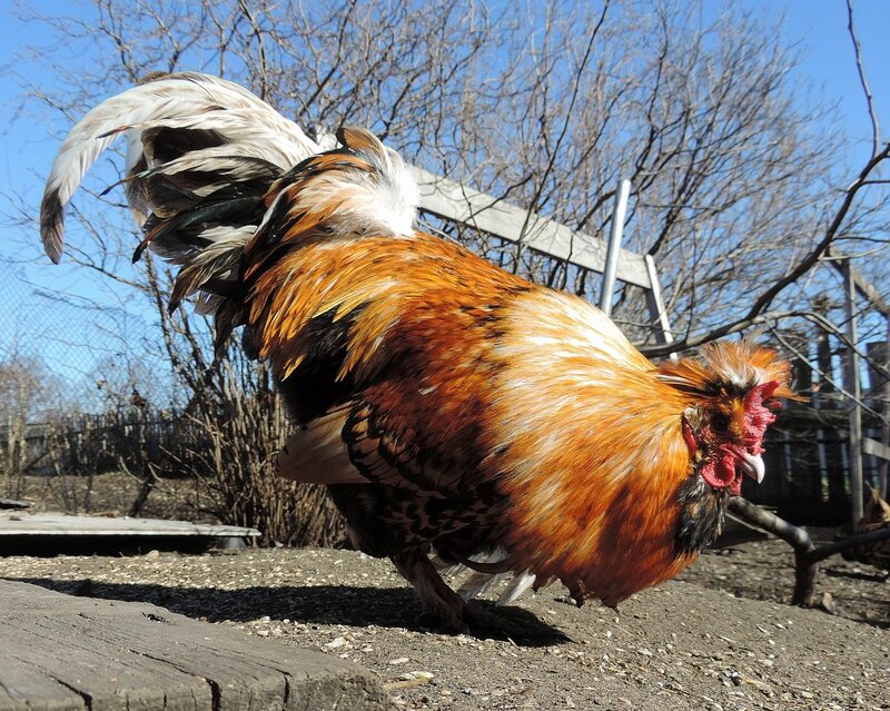 23 апреля 2014