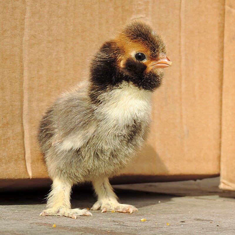 20 апреля 2014