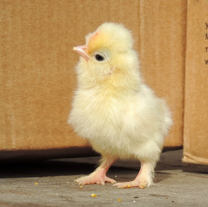 20 апреля 2014