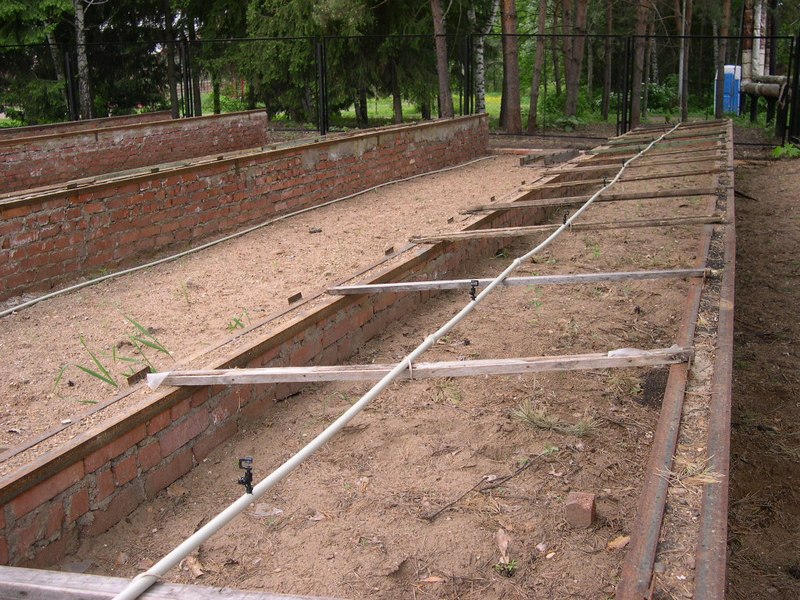 еще спринклеры