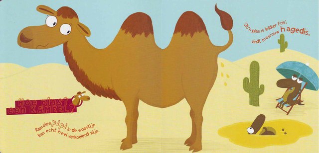 Верблюд делает доброе дело - создаёт SPA-комплексы для изнывающих от жары зверюшек.