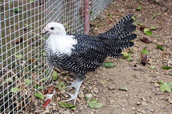 .ббббббббббб