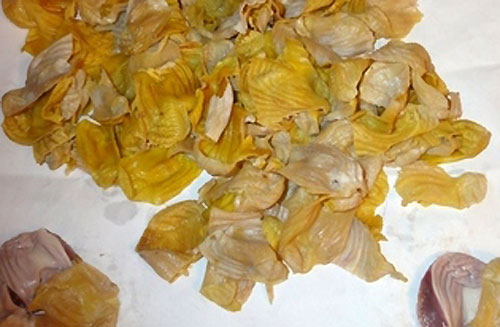 Куриный сычуг