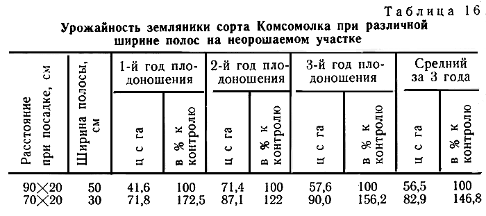Таблица 16. Урожайность земляники сорта Комсомолка при различной ширине полос на неорошаемом участке