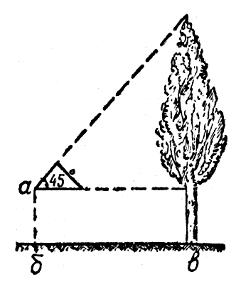  Рис. 57. Измерение высоты дерева при помощи треугольника 