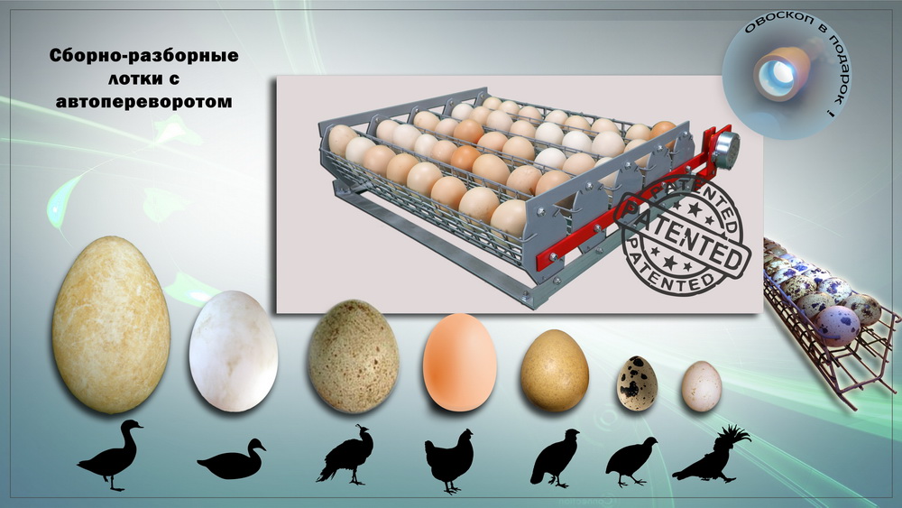 Съемные сборные лотки с автоматическим переворотом яиц