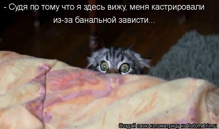 https://fermer.ru/tossl.php?url=http://kotomatrix.ru/images/lolz/2012/01/28/1095078.jpg